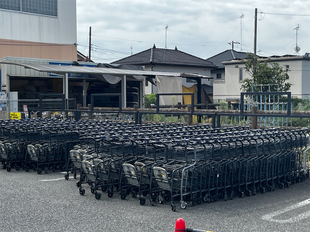 ロヂャース久喜店カート①